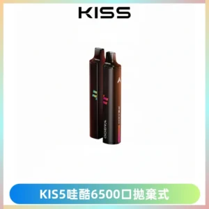 KIS5WAGOO哇酷6500口拋棄式 | 自由混搭雙口味 | 雙芯組合